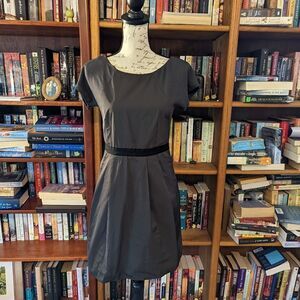 THEORY joenna scoop neck back zip shortsleeve knee-length pleated dress sz 4 euc